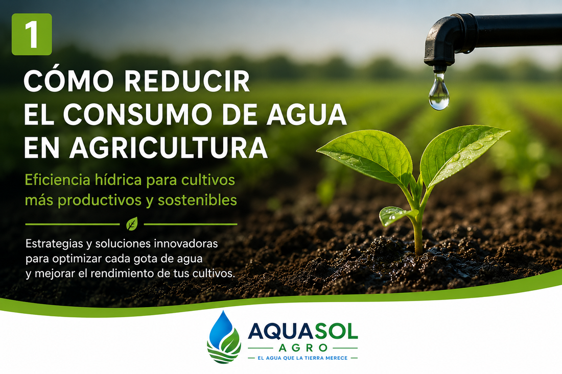 ¿Cómo reducir el consumo de agua en agricultura?