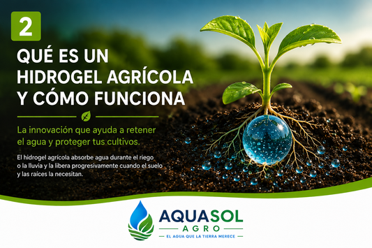 ¿Qué es un hidrogel agrícola y cómo funciona?