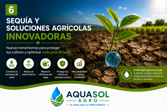 Sequía y soluciones agrícolas innovadoras