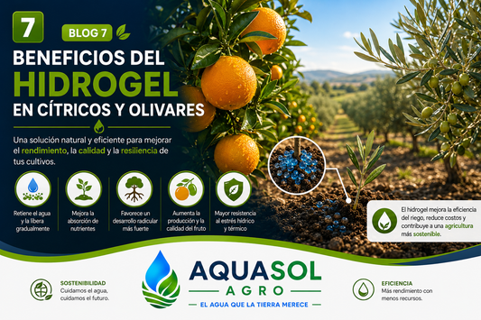 Beneficios del hidrogel en cítricos y olivares